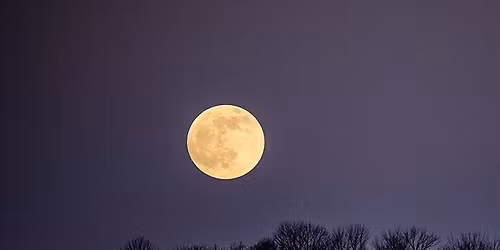 Blauwe maanwandeling Kattevennen 