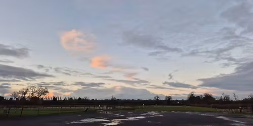 Christmas Fun Inhand Showing Show