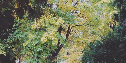 Guided Tour: Women from Lone Fir Cemetery\u2019s First 100 Years