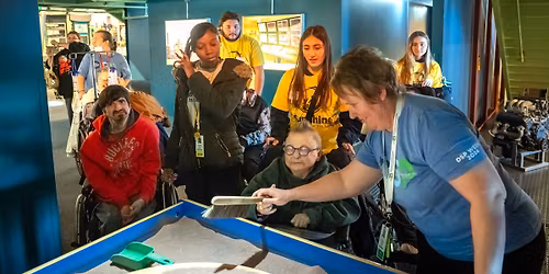 (Free) Sensory Night: Sunshine Friends at Imagination Station