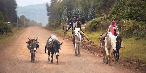 Ozv\u011bny v Pantu: Etiopie