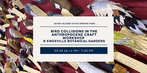 Bird Collisions in the Anthropocene at The Knoxville Botanical Gardens