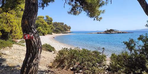 \u039c\u03bf\u03bd\u03ae \u03a0\u03bf\u03bb\u03b5\u03bc\u03ac\u03c1\u03c7\u03b1\u03c2 - \u03a0\u03b1\u03bb\u03b9\u03ac \u0395\u03c0\u03af\u03b4\u03b1\u03c5\u03c1\u03bf\u03c2