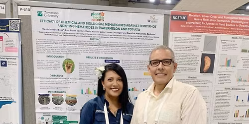 Sting Sevilla Tickets