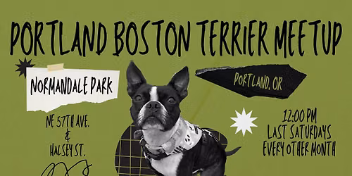 Portland Boston Terrier Meetup