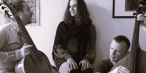 Concert de ZA\u00cfNA