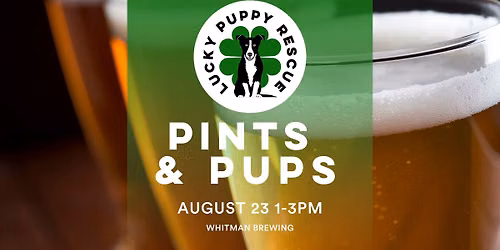 NY- Meet the Lucky Puppies