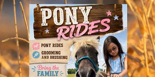 LIVE PONIES