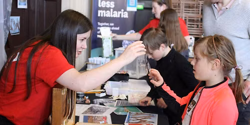 Bug Detectives: Mosquito Mania!