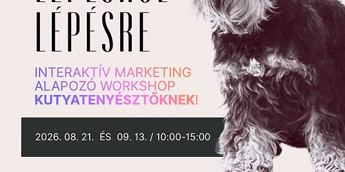 MANAGELD MAGAD L\u00c9P\u00c9SR\u0150L L\u00c9P\u00c9SRE \/  Interakt\u00edv marketing alapoz\u00f3 workshop kutyateny\u00e9szt\u0151knek! 