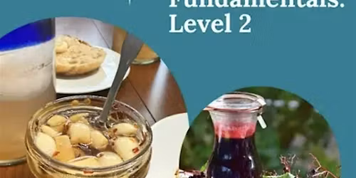 Herbal FUNdamentals 2