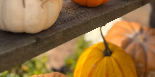 3 Piece Mini Pumpkin Dried Floral Centerpiece Thurs. Oct. 30th 6pm