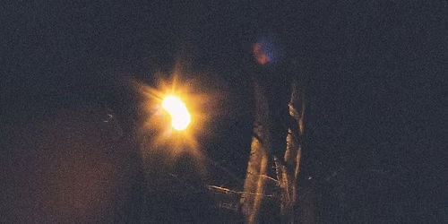 C\u00e9l\u00e9bration de fin d'ann\u00e9e