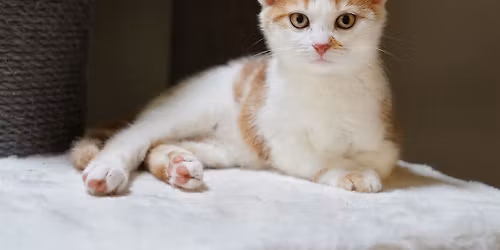 Info-Abend: Was bleibt, wenn wir gehen?