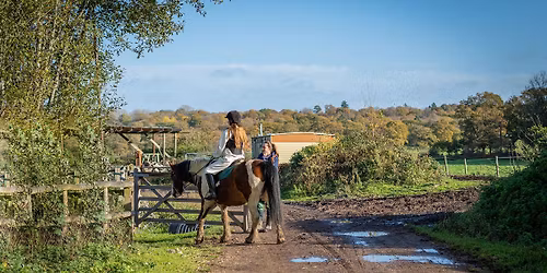 \u2728 Home Education at the Yard - Riding & Stable Management 15th April-20th May\u2728
