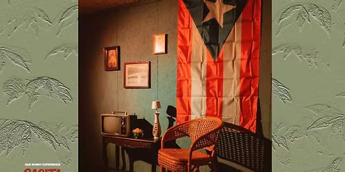 casita . the bad bunny experience