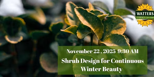 Free Garden Class: Shrub Design for Continuous Winter Beauty