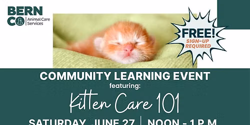 Kitten Care 101