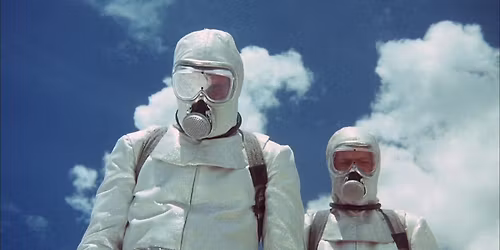 "Phase IV", Regie: Saul Bass