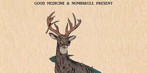 The Droptines at Wave