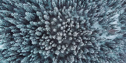 Winter Light: Reiki Sound Bath & Meditation