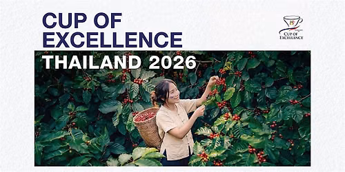 Cup of Excellence Thailand 2026: Cupping Experience