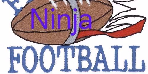 Flag Football State