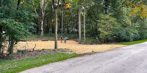 Arbor Day Celebration: "Free a Tree"