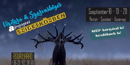Erdei koncert v\u00edzit\u00fara a Szigetk\u00f6zben