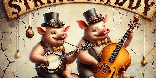 String Daddy live at The Broken Barrel Tavern!