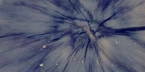 Afterimage, Afterlife: Mexican Experimental Cinema and the Form of Absence