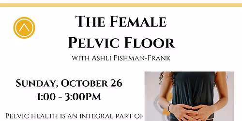 The Female Pelvic Floor