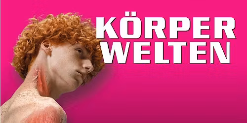 K\u00d6RPERWELTEN Heidelberg \/ Dauerausstellung