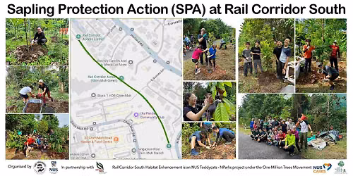 Sapling Protection Action @Rail Corridor South (29 Aug 2026)