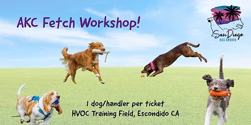 AKC Fetch Dog Workshop