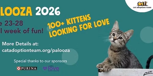 Kitten Palooza Adoption Event 2026