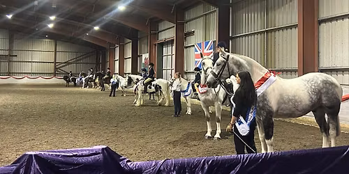 Christmas Showing Show