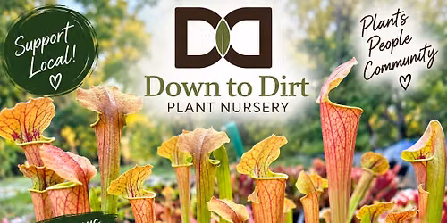 Down To Dirt Plant Nursery