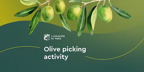 Olive Picking Activity