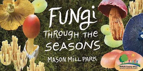 Fungi Though the Seasons: Winter