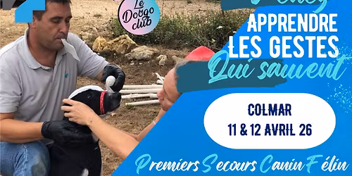 Formation aux Premiers Secours pour Chien et Chat \u00e0 COLMAR