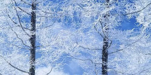 FULLBOOKET - Dyp hvile - f\u00f8rjulsyoga