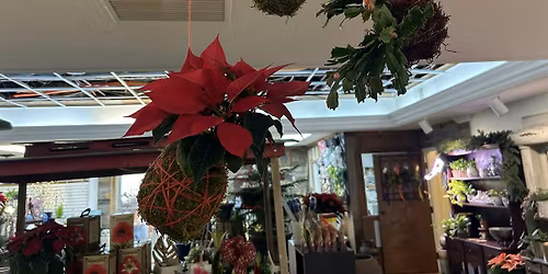 Holiday Kokedama Moss Ball Workshop