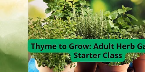 Thyme To Grow: Adult Herb Starter Class