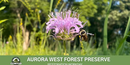 Volunteer Workday - Aurora West Forest Preserve