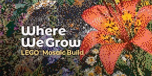 Where We Grow: Build a Lego Mosaic with Saskatoon Public Library