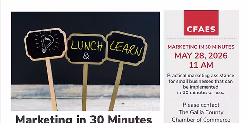 Marketing in 30 minutes or less - Lunch and Learn Session