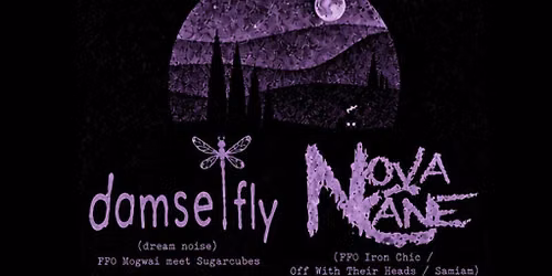 Damsel Fly + Novacane + We Bless This Mess + Corah