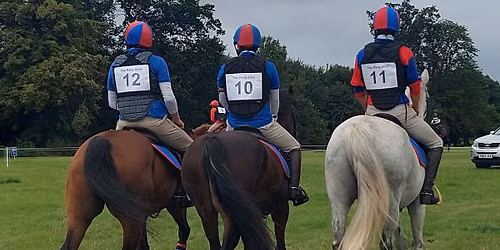 Clear Round Cross Country at Berriewood Equestrian