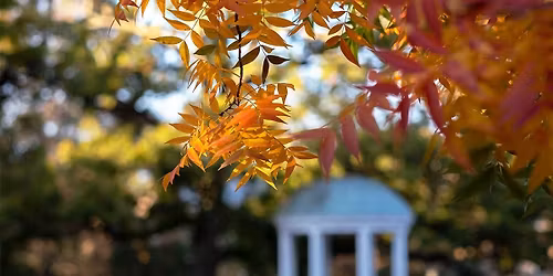 Parking First Responder Bowl